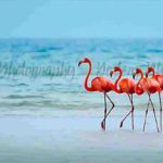 304-B31 2205510644-Pink-Flamingos-Lake-Nakuru-SM-1-1024×559 TH