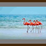 304-B31 2205510644-Pink-Flamingos-Lake-Nakuru-SM-1-1024×559 THMATTR FRAME