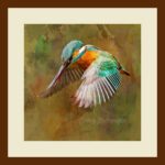001-A26 Kingfisher in Flight cream mat