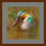001-A26 Kingfisher in Flight grey mat