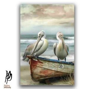 Pelican Duo