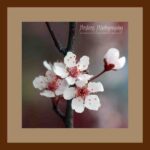 001-A45 White Flowers Brown mat