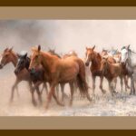 101-A21 Wild Horses brown mat