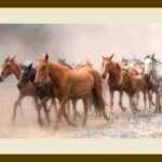 101-A21 Wild Horses cream mat