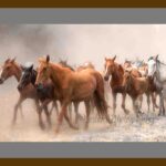101-A21 Wild Horses grey mat