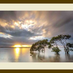 101-B63 Mangrove Sunrise cream mat