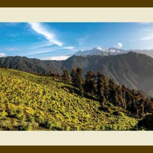 101-D57 Uttarkashi Landscape cream mat