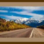 105-D26 Road to Patagonia brown mat