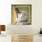 001-D20 Thge Shy Stork frame