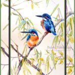 105-F01 Two Kingfishers