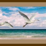 112-D27 Flying Egrets brown mat