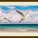 112-D27 Flying Egrets cream mat