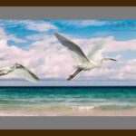 112-D27 Flying Egrets grey mat