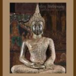 401-C50 Meditating Buddha 01 -brown mat