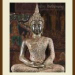 401-C50 Meditating Buddha 01 -cream mat