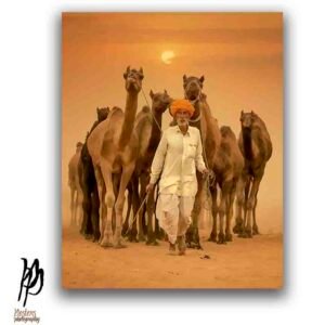 Road to Pushkar