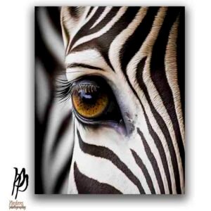 Zebra Eye