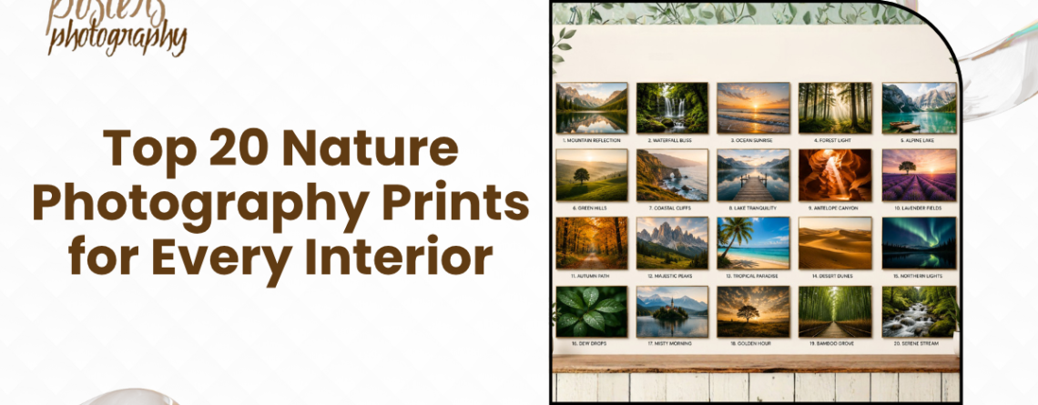 Nature Photography