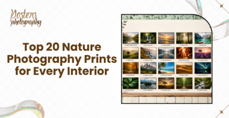 Nature Photography
