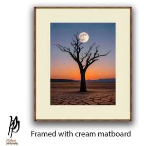Moonlit Solitude - Image 4