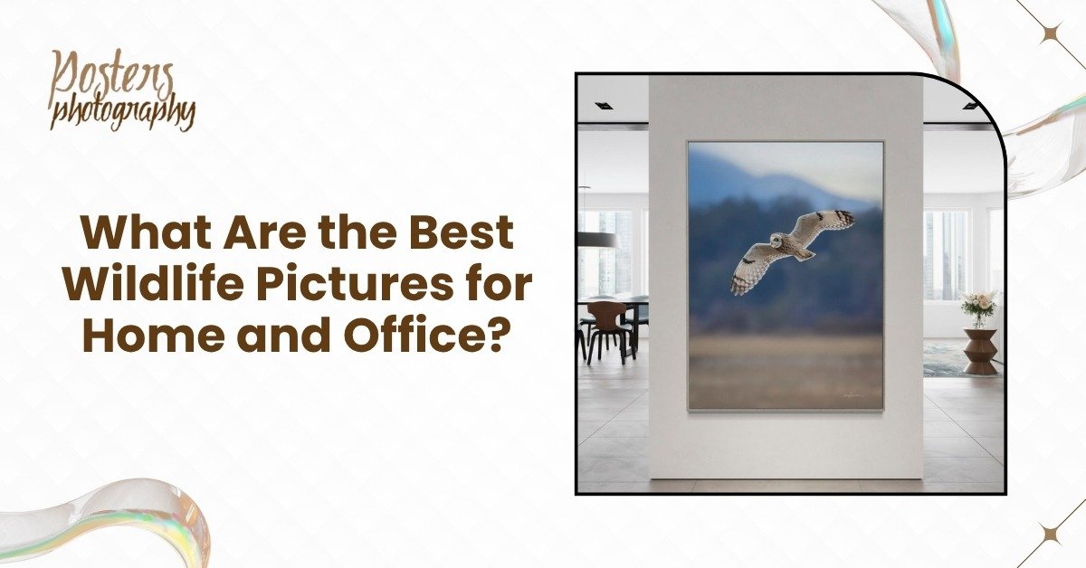 Best Wildlife Pictures