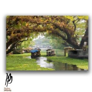 God's Own Country – Kerala Backwaters Fine Art