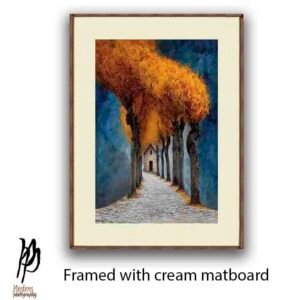 Nature's Golden Corridor - Image 3