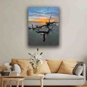 Dramatic Driftwood Beach Sunset - Image 3