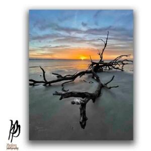 Dramatic Driftwood Beach Sunset