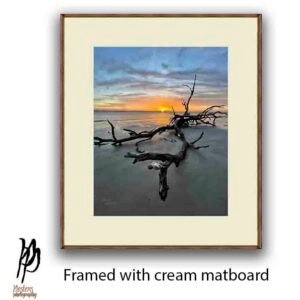 Dramatic Driftwood Beach Sunset - Image 4